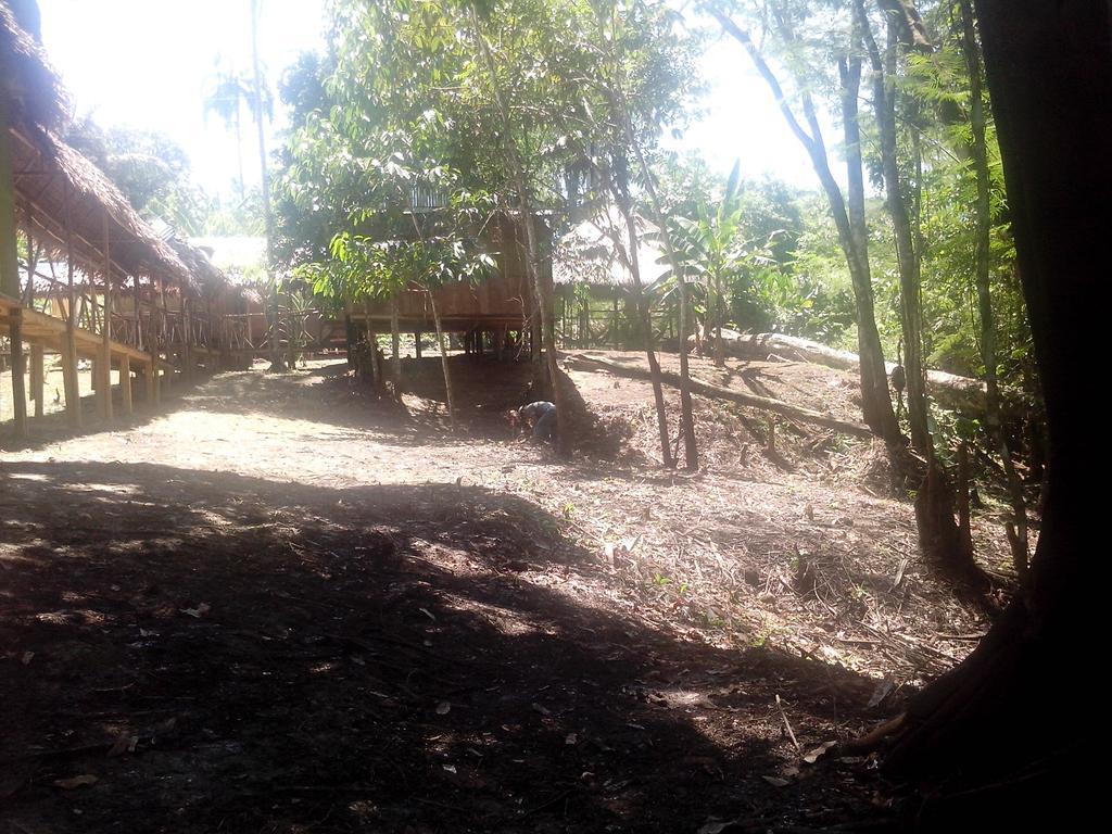 Amazon Queen Lodge Mazán エクステリア 写真