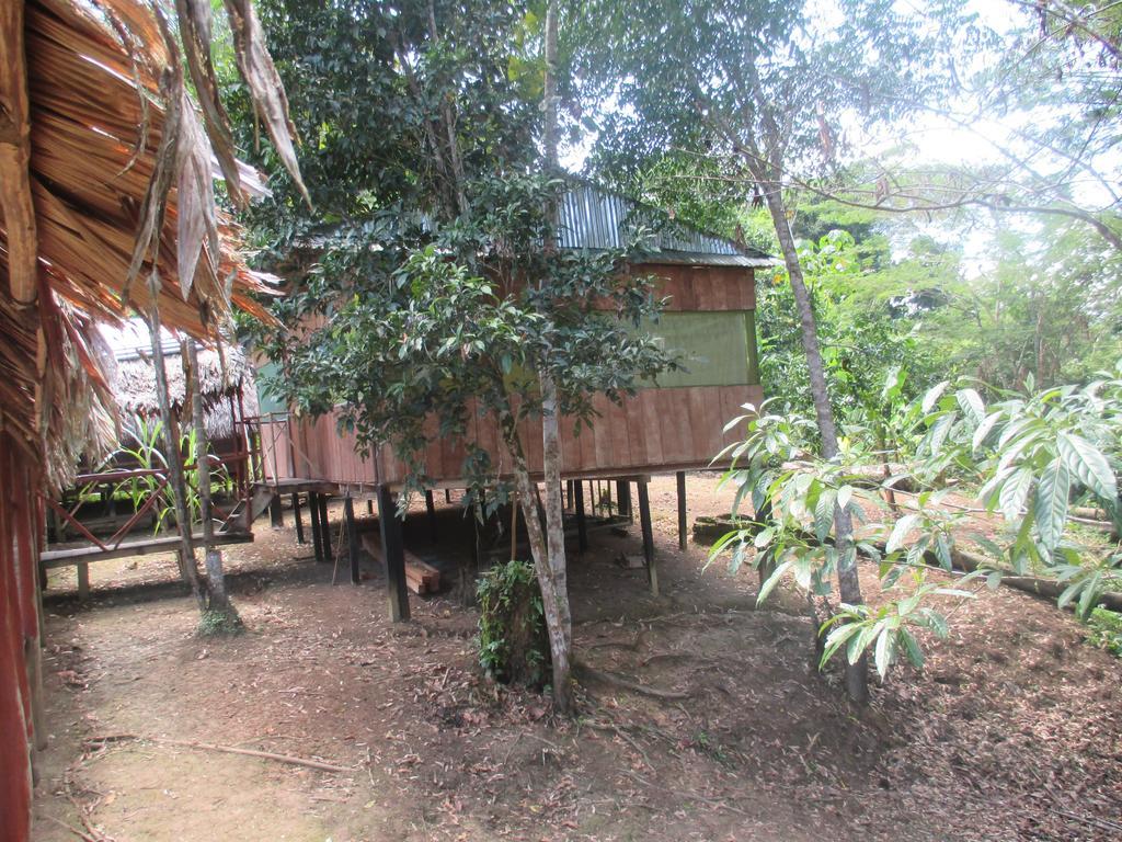 Amazon Queen Lodge Mazán エクステリア 写真