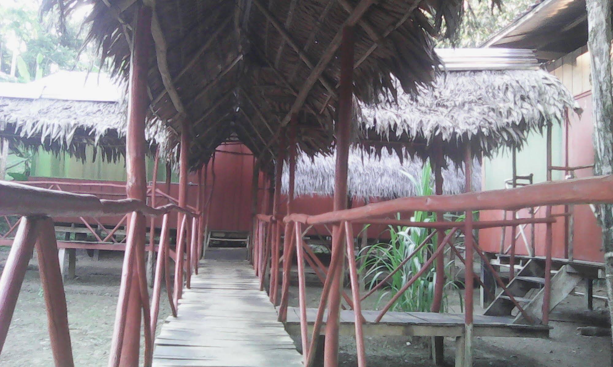 Amazon Queen Lodge Mazán エクステリア 写真