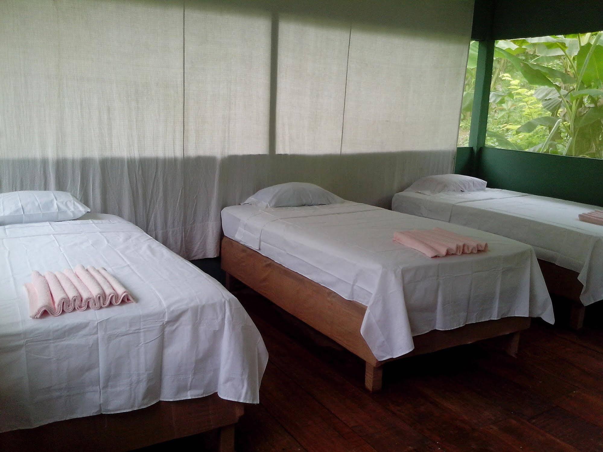 Amazon Queen Lodge Mazán エクステリア 写真