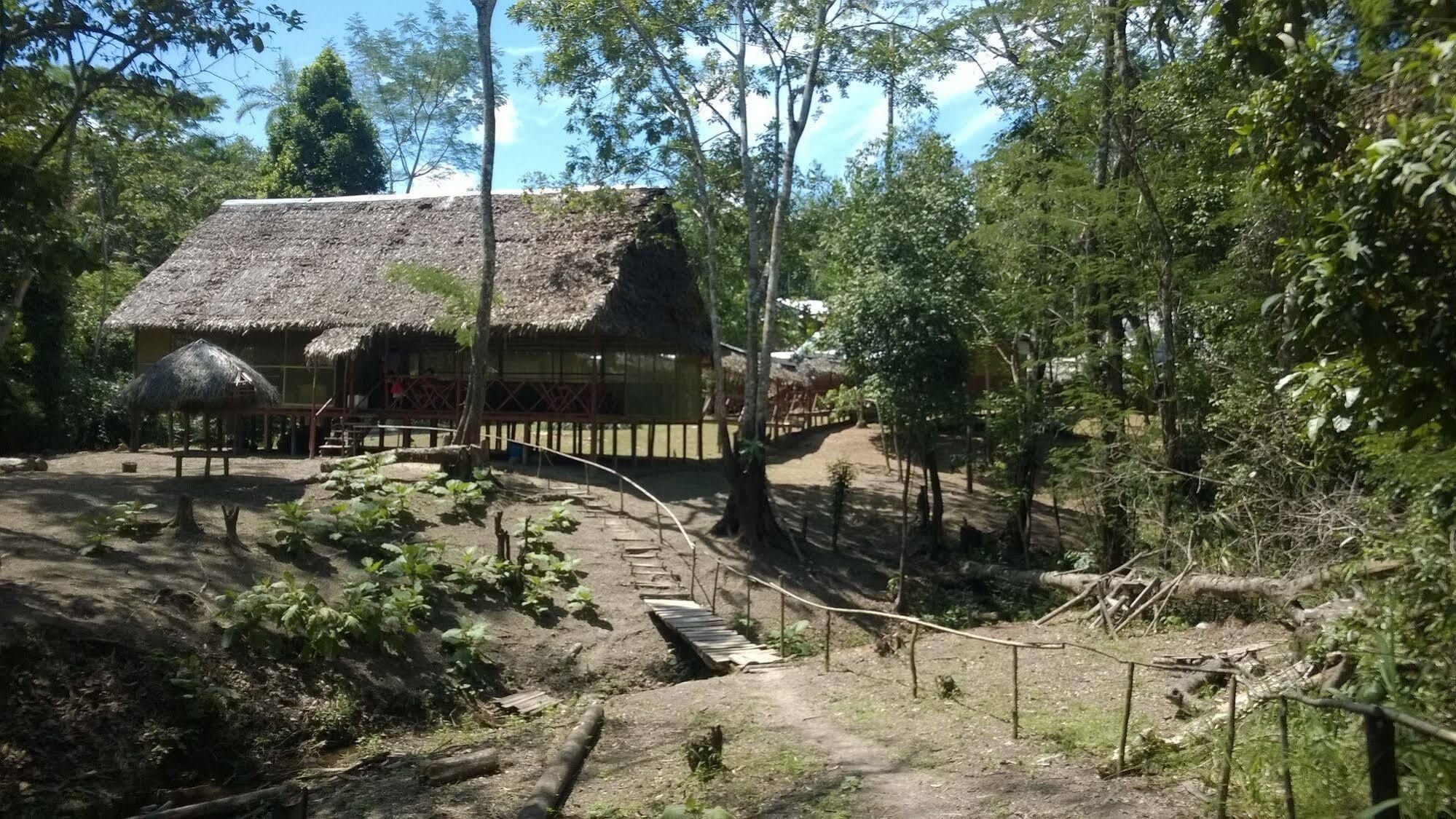 Amazon Queen Lodge Mazán エクステリア 写真